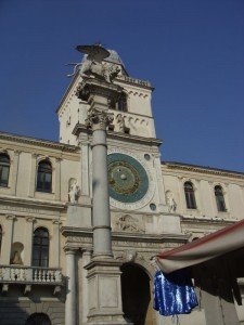 piacok01 (8)